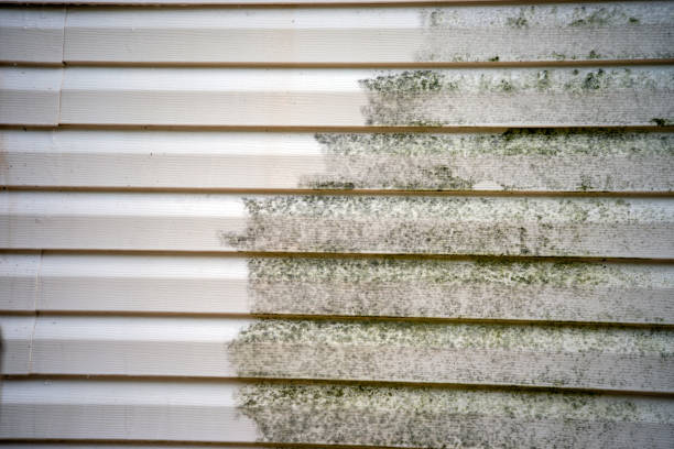 Best Storm Damage Siding Repair  in South Toms River, NJ