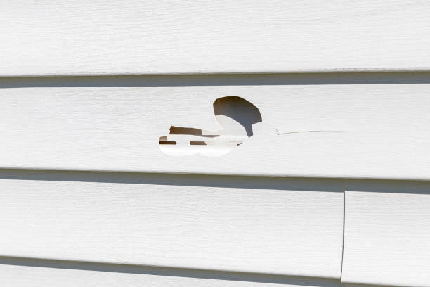 Best Weatherproofing and Sealing  in South Toms River, NJ